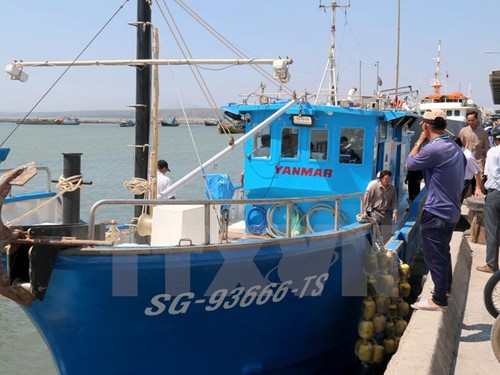 Binh Thuan supports fishermen  - ảnh 1